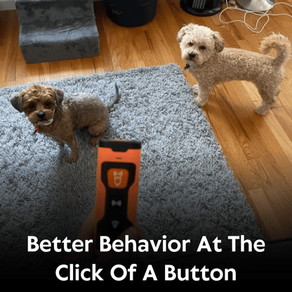 TITAN® Anti-Bark Device